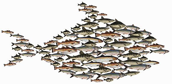 Many fishes are arranged to form a big fish representing ichthyology.